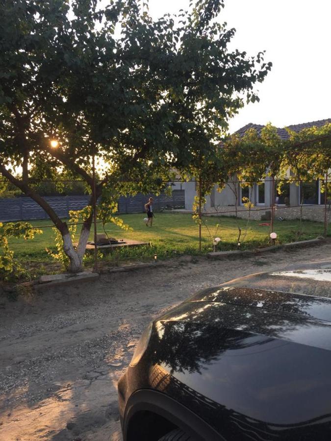 La Olteanu Hotel Ваду Екстериор снимка